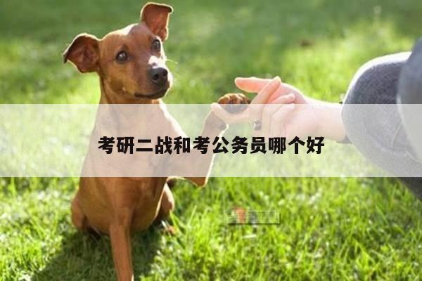 考研二战和考公务员哪个好