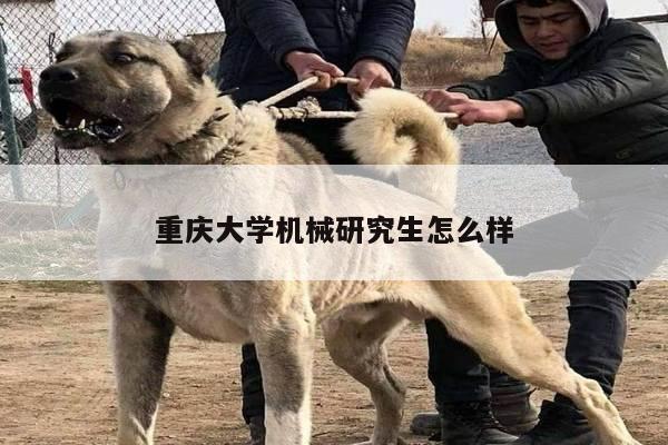 重庆大学机械研究生怎么样