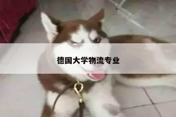 德国大学物流专业