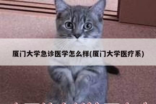 厦门大学急诊医学怎么样(厦门大学医疗系)