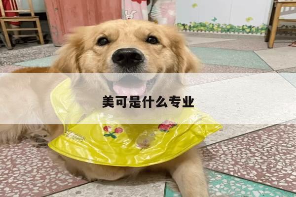 美可是什么专业