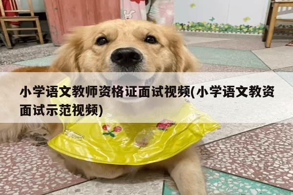 小学语文教师资格证面试视频(小学语文教资面试示范视频)