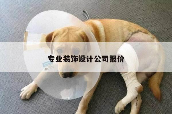 专业装饰设计公司报价