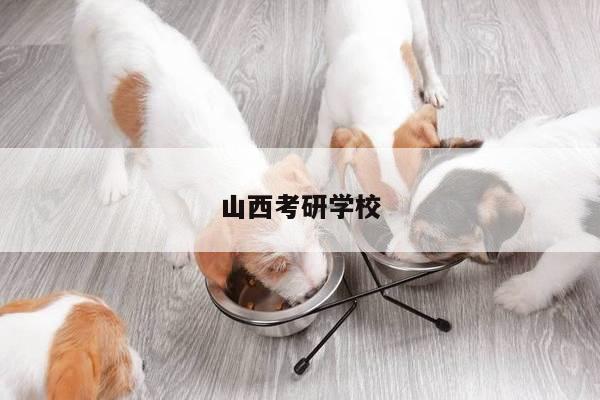 山西考研学校