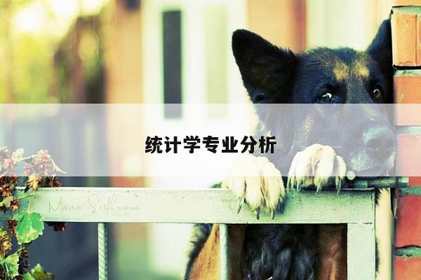 统计学专业分析