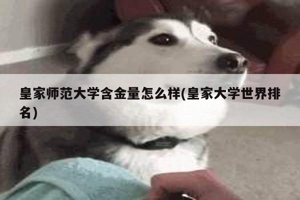 皇家师范大学含金量怎么样(皇家大学世界排名)