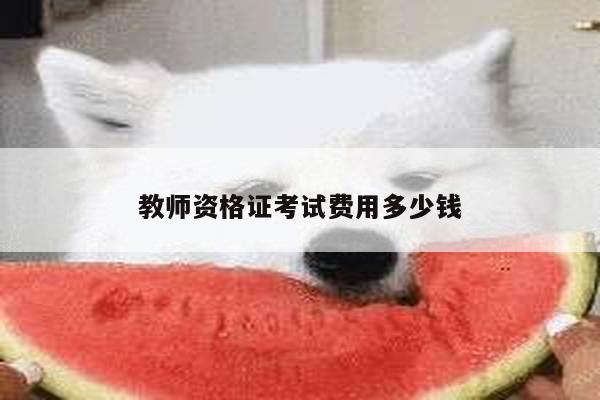 教师资格证考试费用多少钱