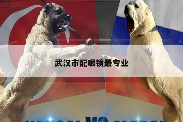 武汉市配眼镜最专业