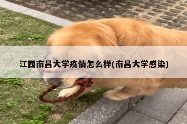江西南昌大学疫情怎么样(南昌大学感染)