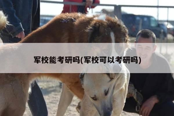 军校能考研吗(军校可以考研吗)