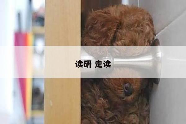 读研 走读