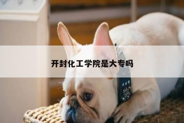 开封化工学院是大专吗