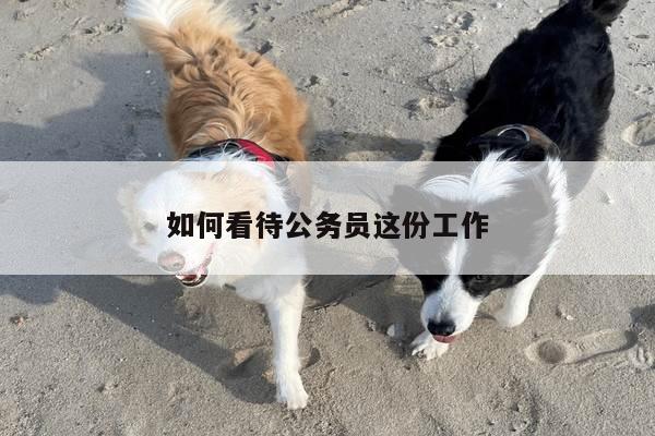 如何看待公务员这份工作