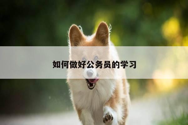 如何做好公务员的学习