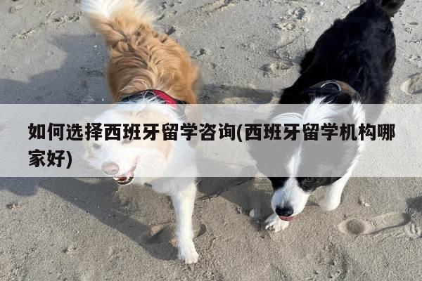 如何选择西班牙留学咨询(西班牙留学机构哪家好)
