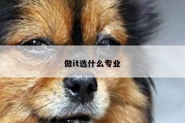 做it选什么专业
