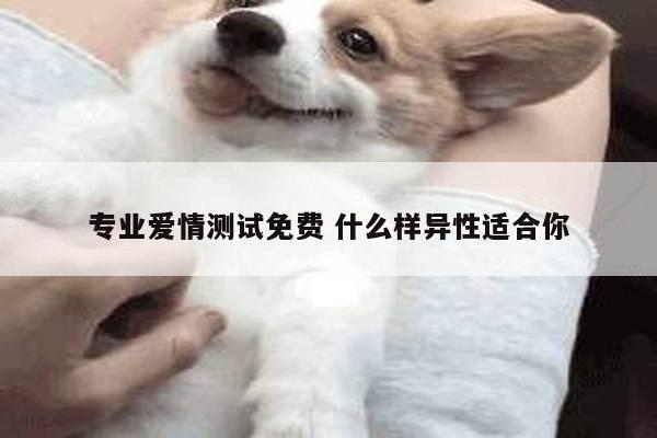 专业爱情测试免费 什么样异性适合你