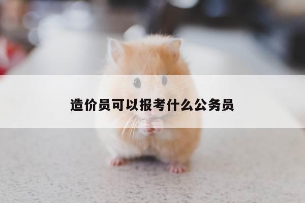造价员可以报考什么公务员