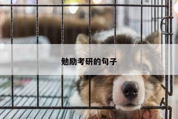 勉励考研的句子