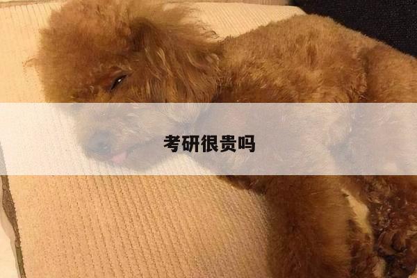 考研很贵吗