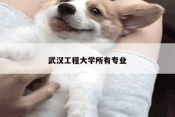 武汉工程大学所有专业