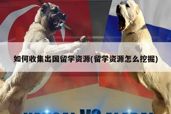 如何收集出国留学资源(留学资源怎么挖掘)