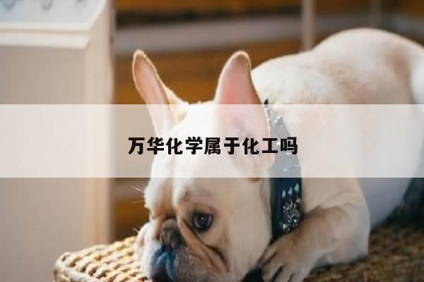 万华化学属于化工吗