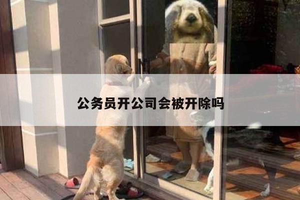 公务员开公司会被开除吗