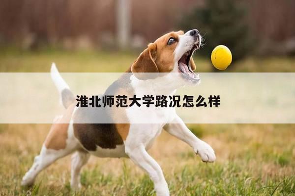 淮北师范大学路况怎么样