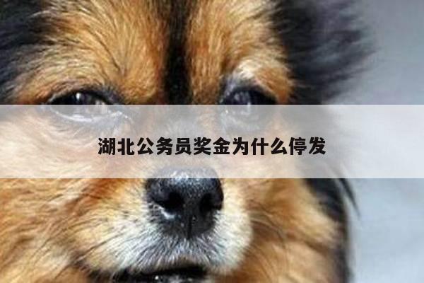 湖北公务员奖金为什么停发