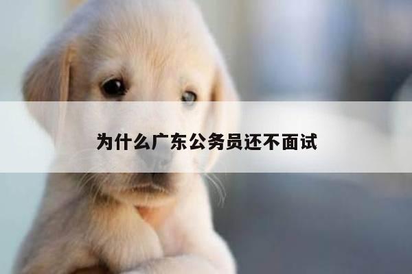 为什么广东公务员还不面试