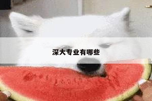 深大专业有哪些
