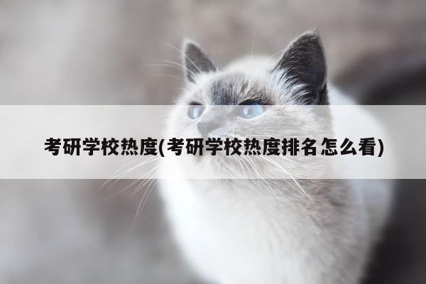 考研学校热度(考研学校热度排名怎么看)
