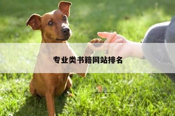 专业类书籍网站排名