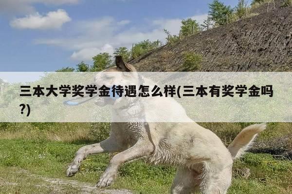 三本大学奖学金待遇怎么样(三本有奖学金吗?)