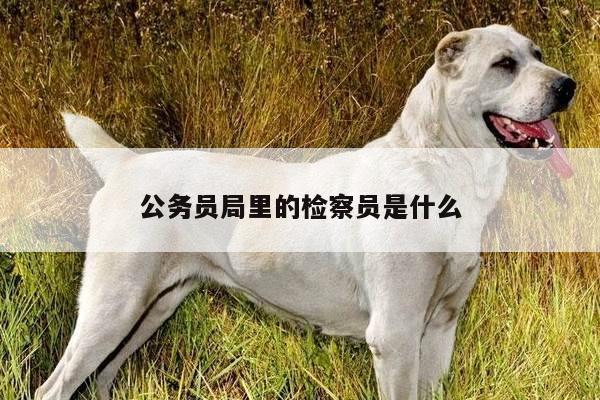 公务员局里的检察员是什么