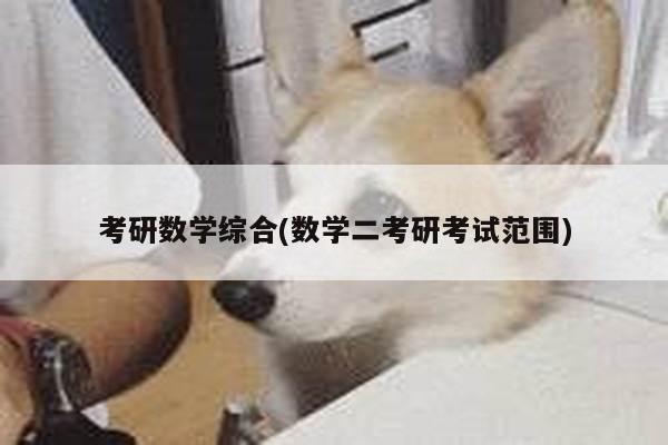 考研数学综合(数学二考研考试范围)
