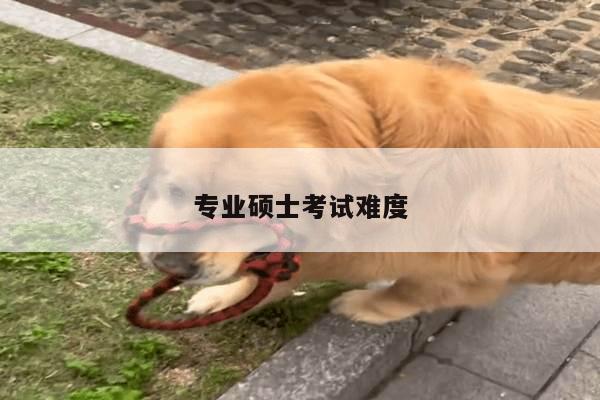 专业硕士考试难度