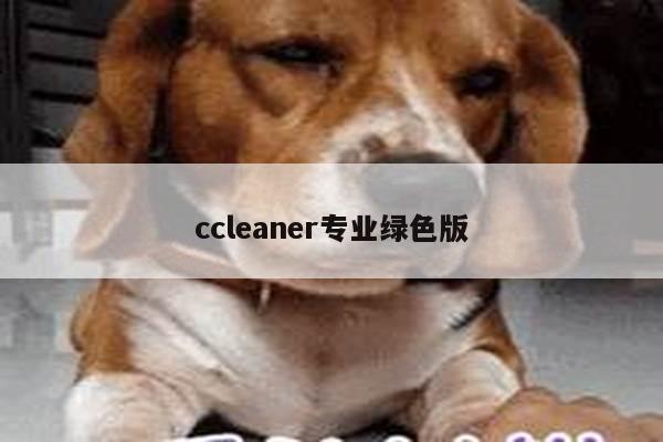 ccleaner专业绿色版