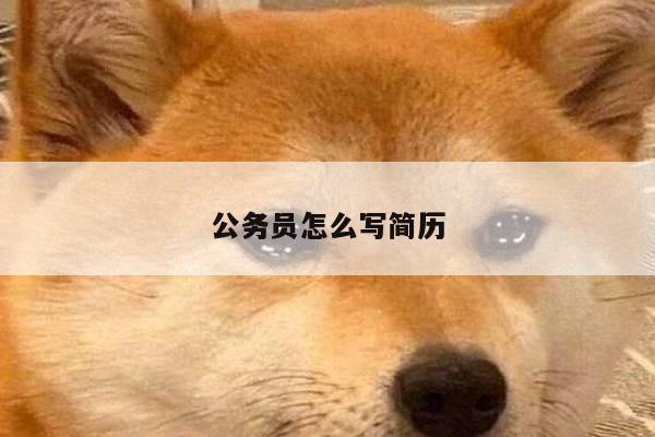 公务员怎么写简历