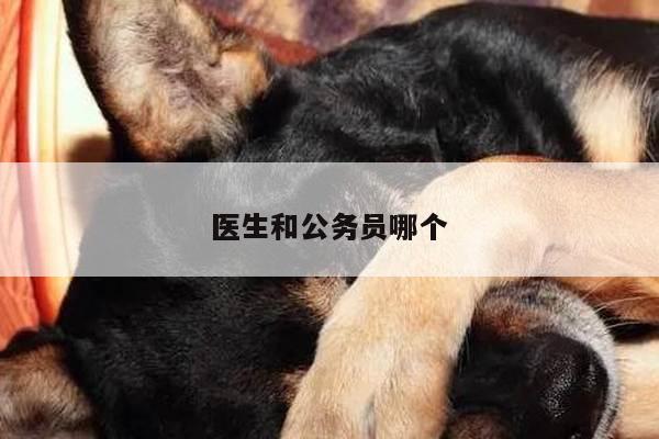 医生和公务员哪个
