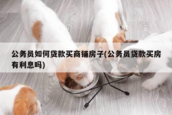 公务员如何贷款买商铺房子(公务员贷款买房有利息吗)
