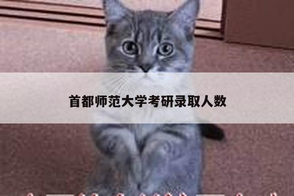 首都师范大学考研录取人数