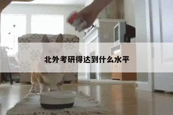 北外考研得达到什么水平