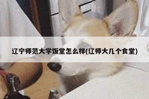 辽宁师范大学饭堂怎么样(辽师大几个食堂)
