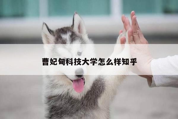 曹妃甸科技大学怎么样知乎