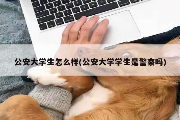 公安大学生怎么样(公安大学学生是警察吗)
