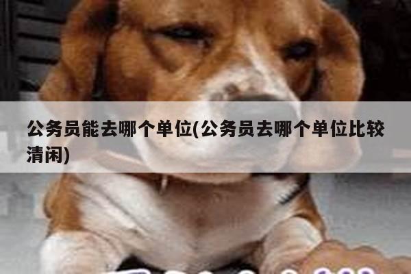 公务员能去哪个单位(公务员去哪个单位比较清闲)