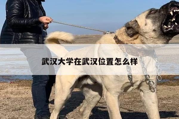 武汉大学在武汉位置怎么样