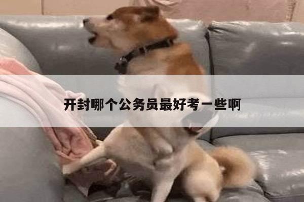 开封哪个公务员最好考一些啊